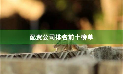 配资公司排名前十榜单